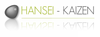 logo de la société Hansei-Kaizen